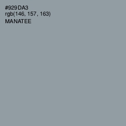 #929DA3 - Manatee Color Image