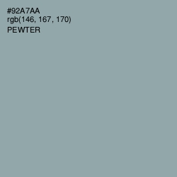 #92A7AA - Pewter Color Image