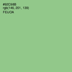 #92C98B - Feijoa Color Image