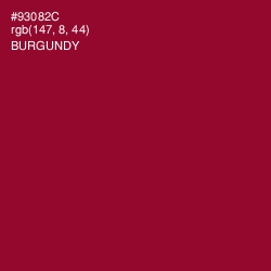 #93082C - Burgundy Color Image
