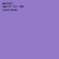#9379C7 - Lilac Bush Color Image