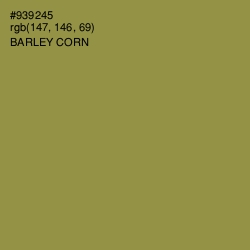 #939245 - Barley Corn Color Image