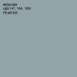 #93A4A9 - Pewter Color Image