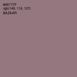 #95777F - Bazaar Color Image