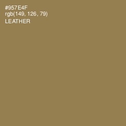 #957E4F - Leather Color Image