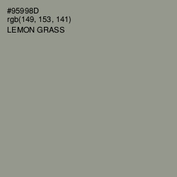#95998D - Lemon Grass Color Image