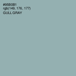 #95B0B1 - Gull Gray Color Image