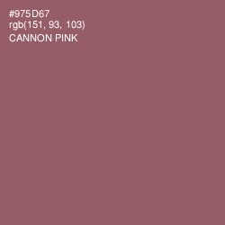 #975D67 - Cannon Pink Color Image