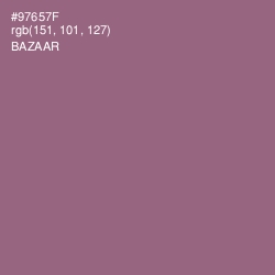 #97657F - Bazaar Color Image