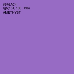 #976AC4 - Amethyst Color Image