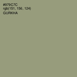 #979C7C - Gurkha Color Image