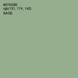 #97AE8E - Sage Color Image