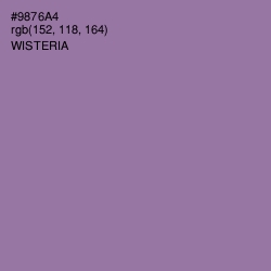#9876A4 - Wisteria Color Image