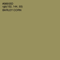 #98905D - Barley Corn Color Image