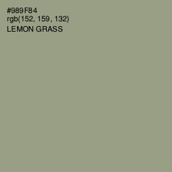#989F84 - Lemon Grass Color Image