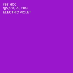 #9916CC - Electric Violet Color Image