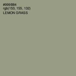 #999B84 - Lemon Grass Color Image