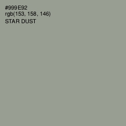 #999E92 - Star Dust Color Image
