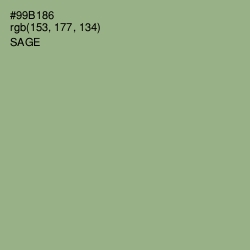 #99B186 - Sage Color Image