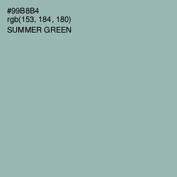 #99B8B4 - Summer Green Color Image