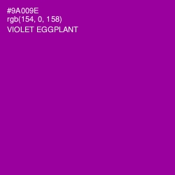 #9A009E - Violet Eggplant Color Image