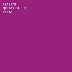 #9A217B - Plum Color Image