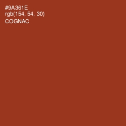 #9A361E - Cognac Color Image