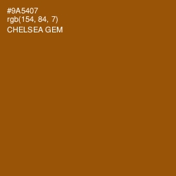 #9A5407 - Chelsea Gem Color Image