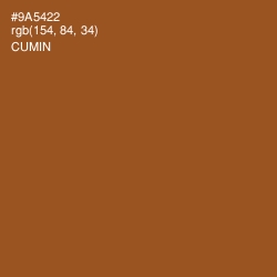 #9A5422 - Cumin Color Image