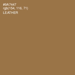 #9A7447 - Leather Color Image