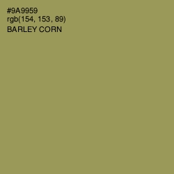 #9A9959 - Barley Corn Color Image