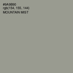 #9A9B90 - Mountain Mist Color Image