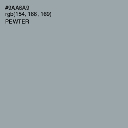 #9AA6A9 - Pewter Color Image