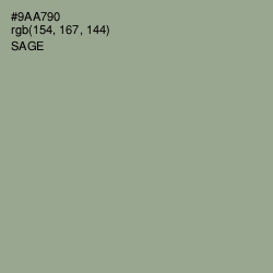 #9AA790 - Sage Color Image