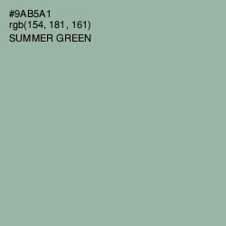 #9AB5A1 - Summer Green Color Image