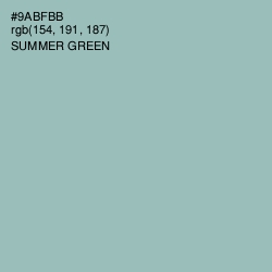 #9ABFBB - Summer Green Color Image