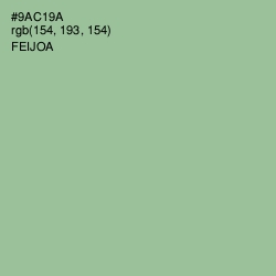 #9AC19A - Feijoa Color Image