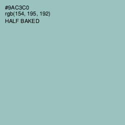 #9AC3C0 - Half Baked Color Image