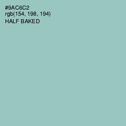 #9AC6C2 - Half Baked Color Image