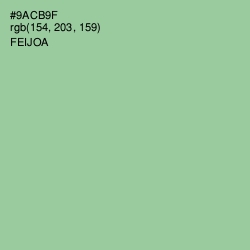 #9ACB9F - Feijoa Color Image