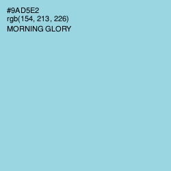 #9AD5E2 - Morning Glory Color Image