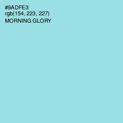 #9ADFE3 - Morning Glory Color Image