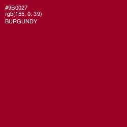#9B0027 - Burgundy Color Image