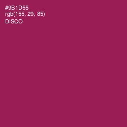 #9B1D55 - Disco Color Image