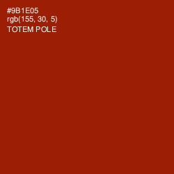 #9B1E05 - Totem Pole Color Image