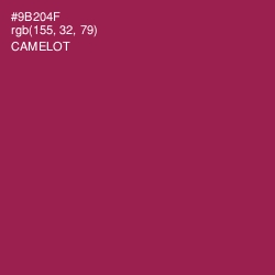 #9B204F - Camelot Color Image