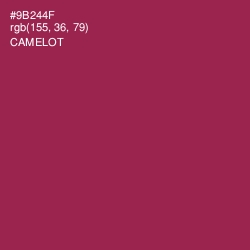 #9B244F - Camelot Color Image