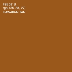 #9B581B - Hawaiian Tan Color Image