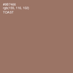 #9B7466 - Toast Color Image