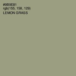 #9B9E81 - Lemon Grass Color Image